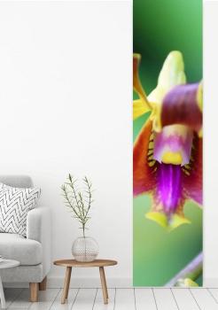 Flächenvorhang Orchideenzeit,  Schiebevorhang, Schiebegardine, modern, 60 cm breit, 2,65 m hoch, 3 m hoch